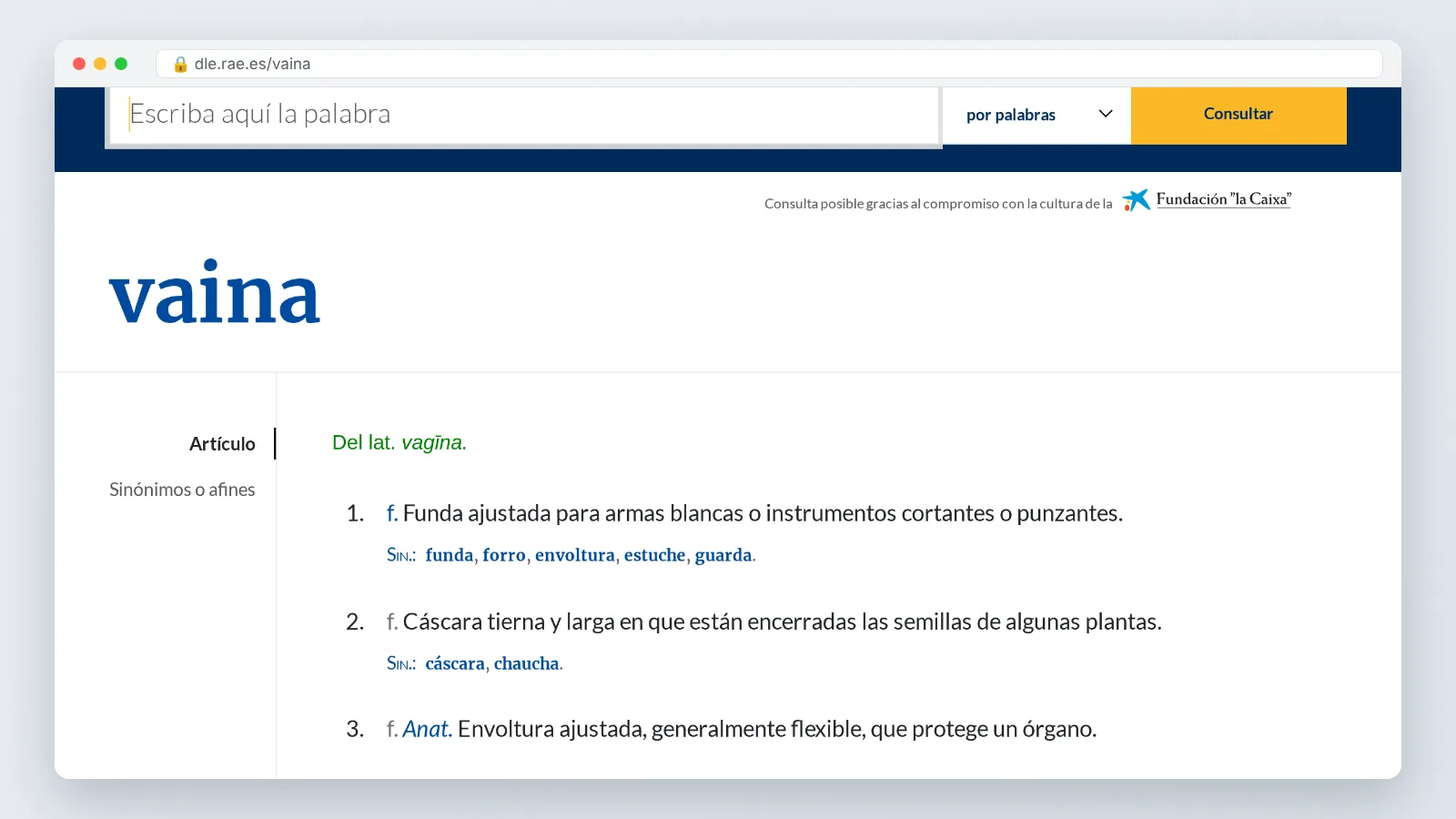 RAE online dictionary entry for the Spanish word vaina with numbered senses and regional labels
