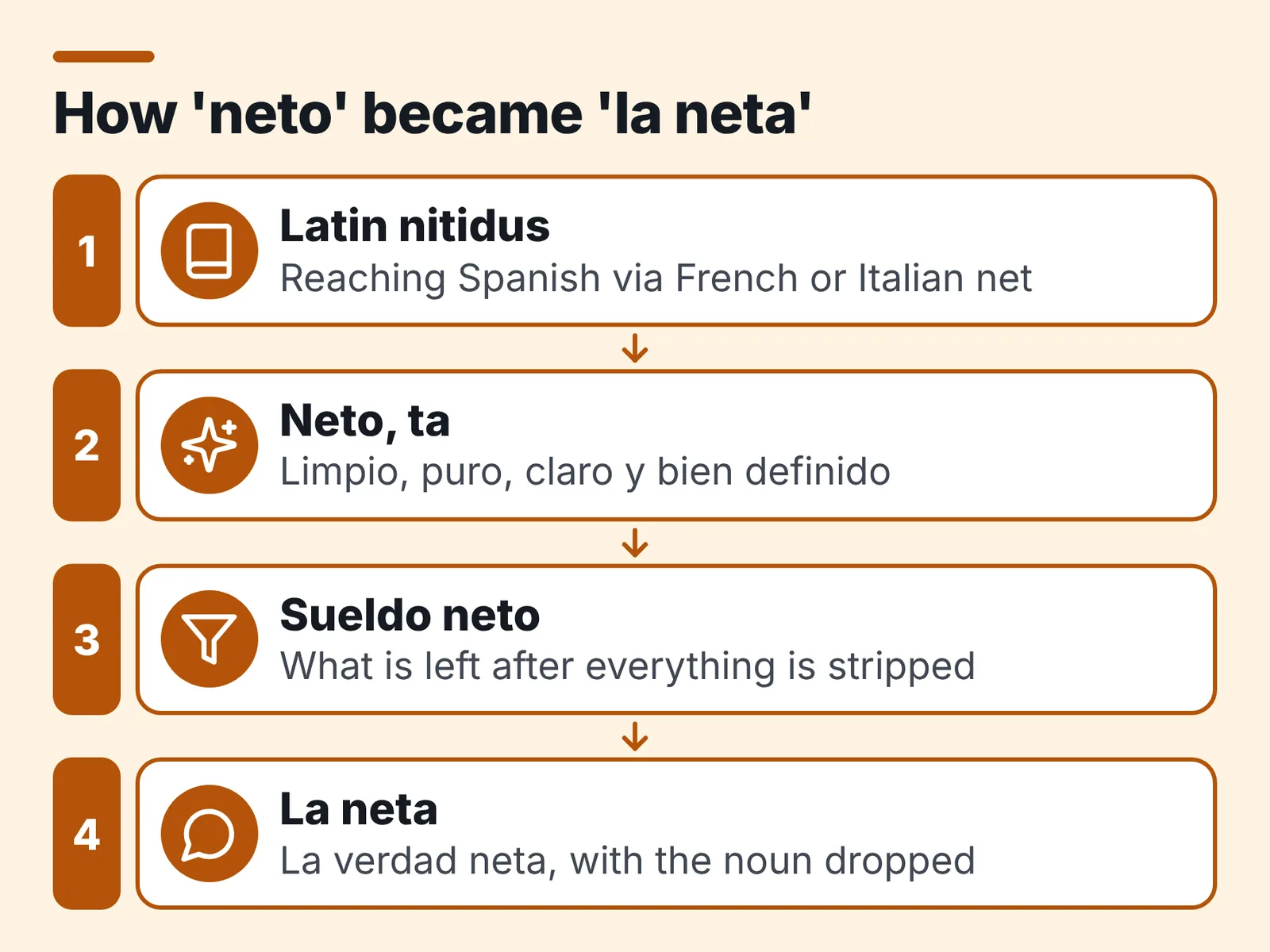 Numbered flow diagram linking Latin nitidus to 'neto, ta', 'sueldo neto' and 'la neta' with arrows.